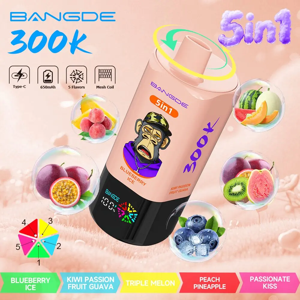 [Special Launch Price] Bang DE 300K 300000 Vape 5-in-1 Flavors Rechargeable LED Display Disposable E-Cigarette
