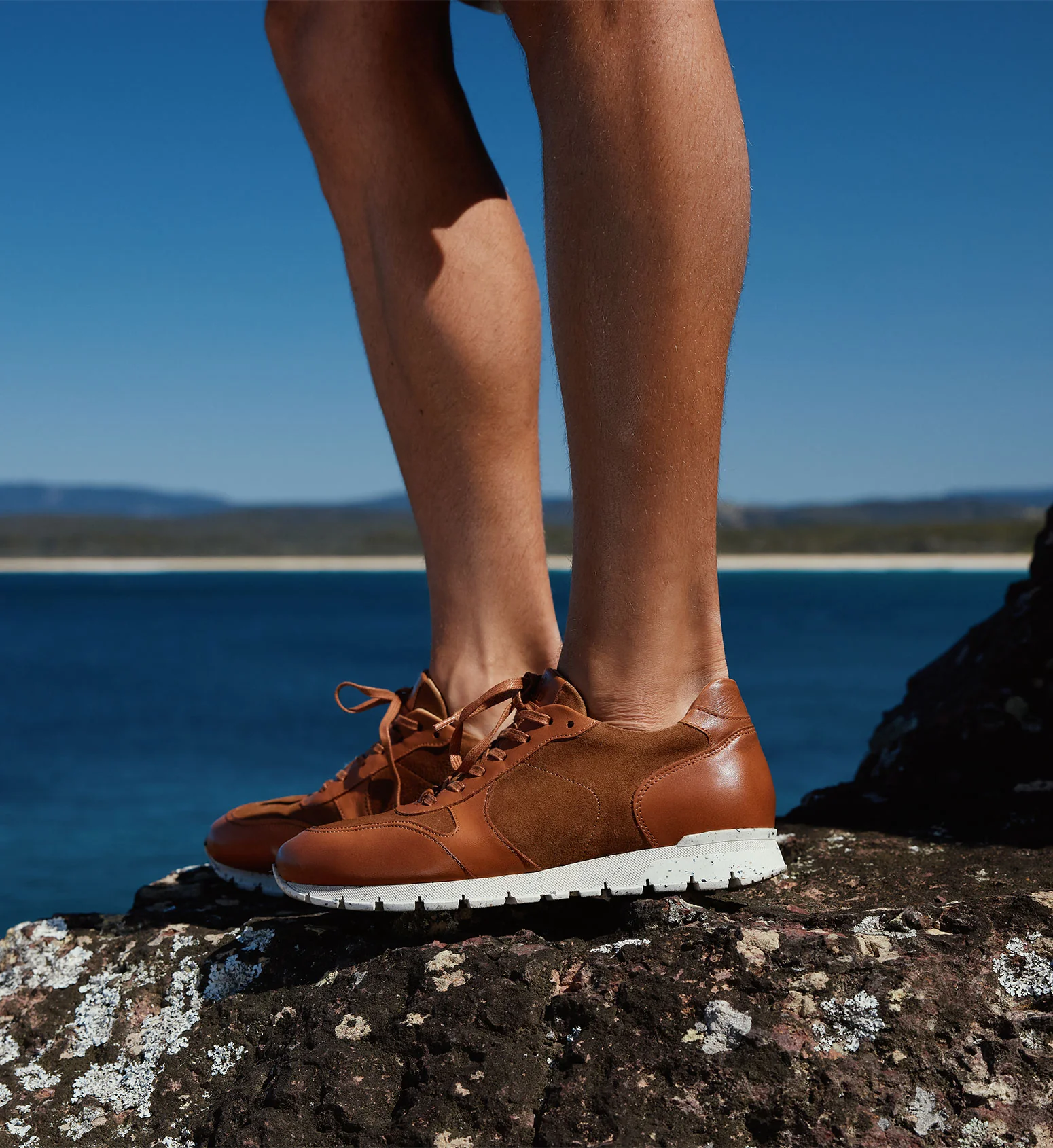 Erbium Tan Leather Sneakers