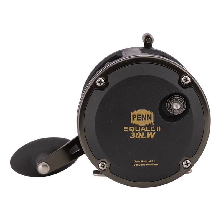 Penn Squall II Level Wind Overhead SQL30LW Reel Multicoloured