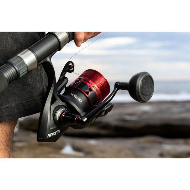 Penn Fierce IV 4000 Spin Reel Multicoloured