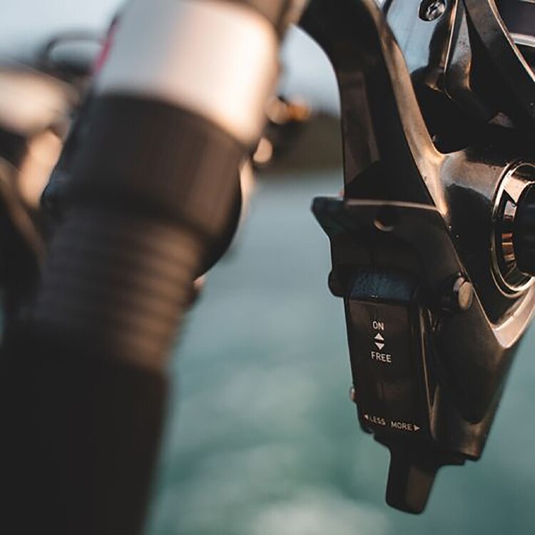 Daiwa 23 Free Swimmer BR LT 5000 Spin Reel