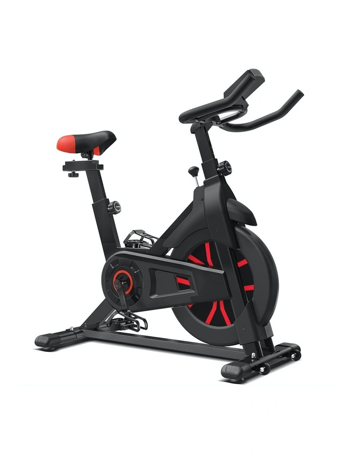SP310 (M2) Spin Bike