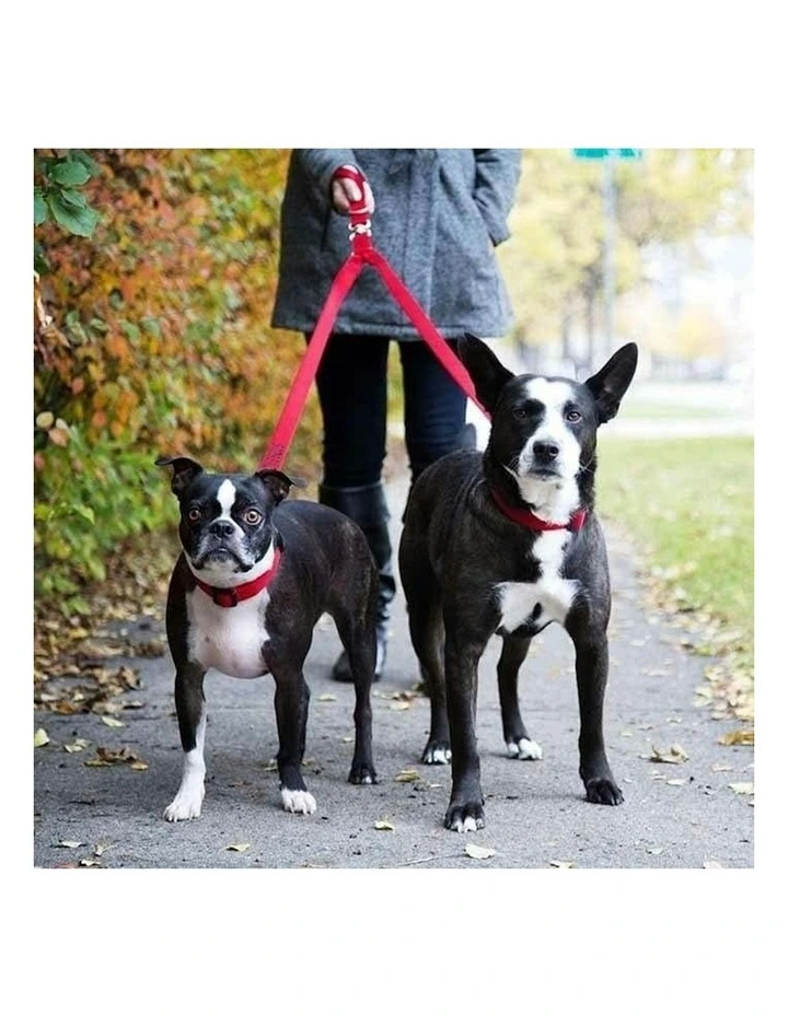 Double Dog Leash Lead Coupler in Multi