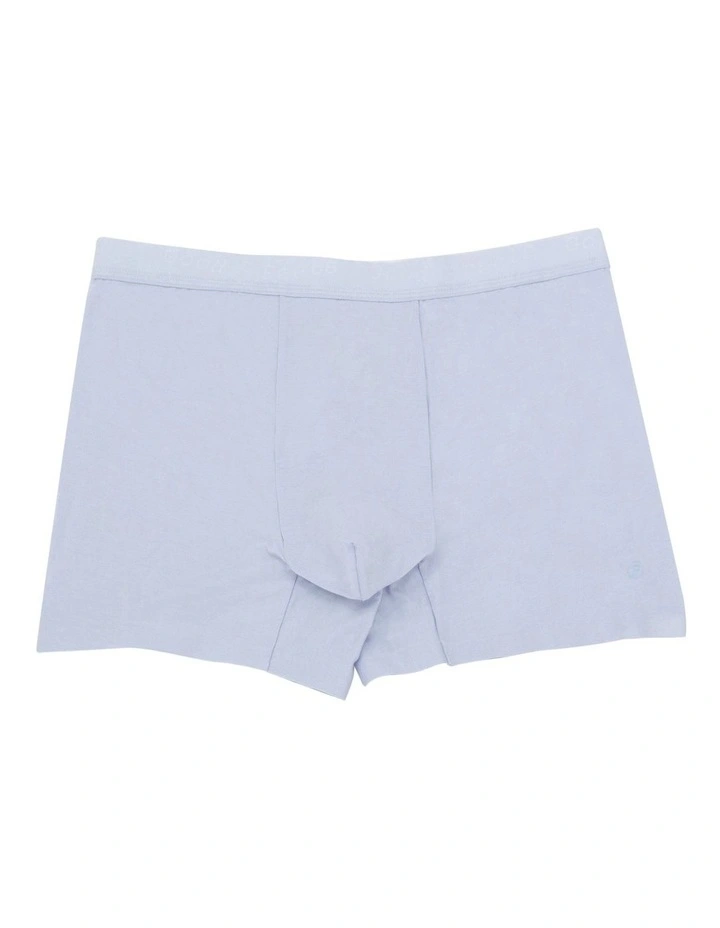 Boxer Trunk in Sky