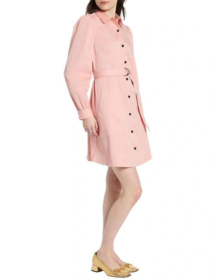 Caitlyn Shirt Dress in Champagne