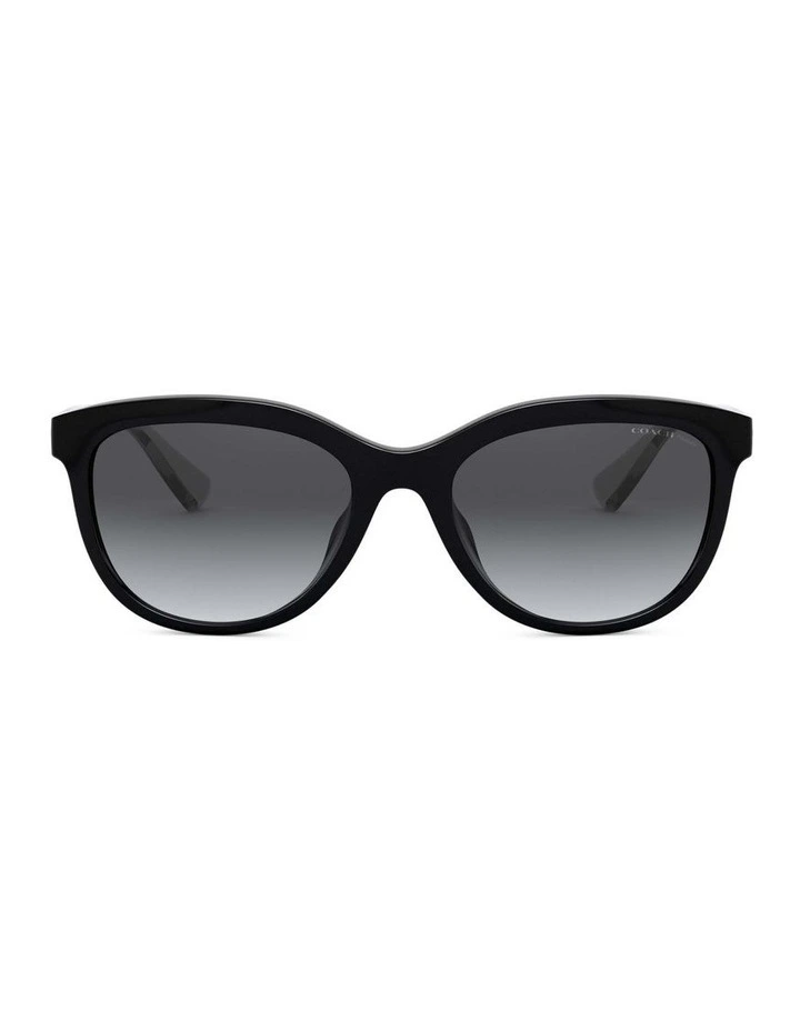 HC8285U L1137 Black Polarised Sunglasses