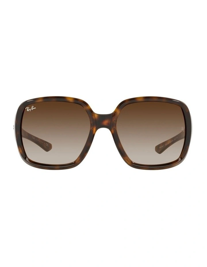 RB4347 Brown Sunglasses