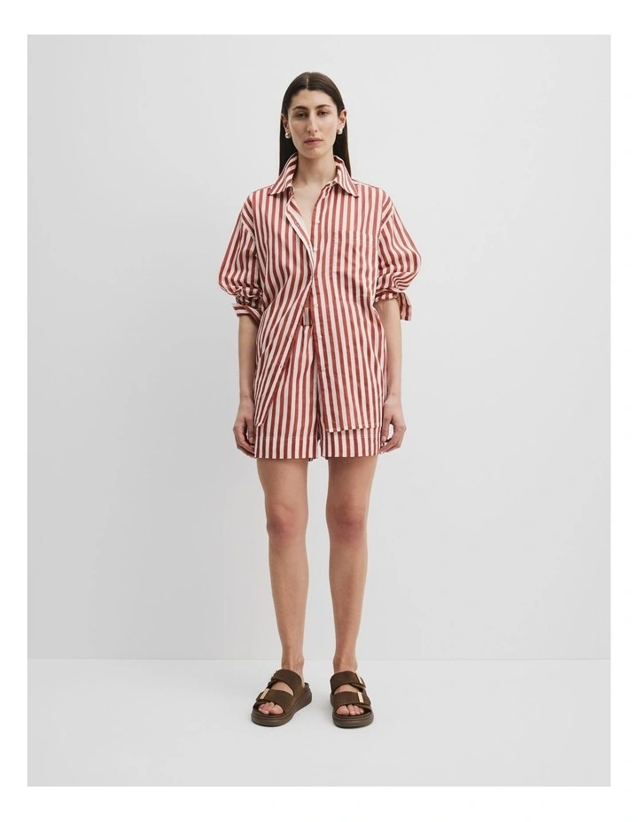 Long Sleeve Voile Shirt in Russet Stripe