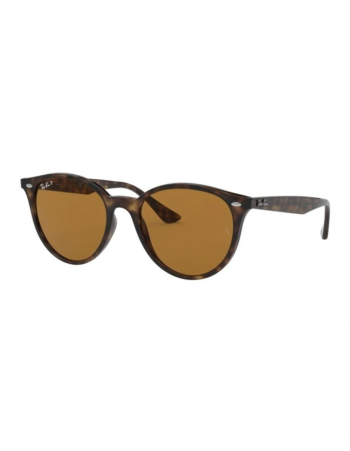 RB4305 Brown Polarised Sunglasses