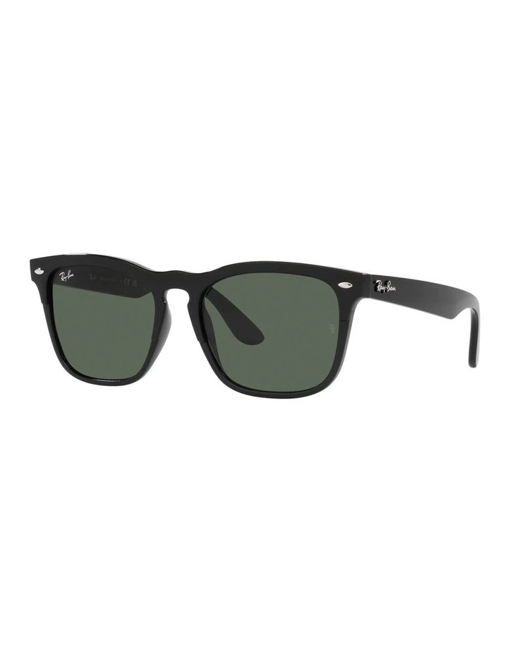 STEVE Sunglasses In Black