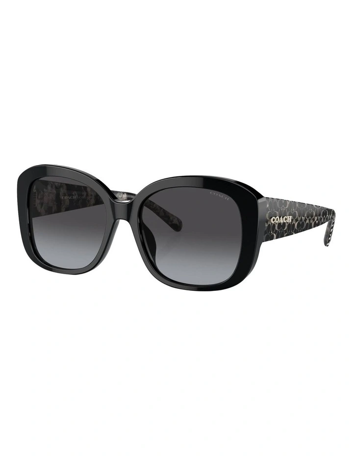 CH564 Sunglasses in Black