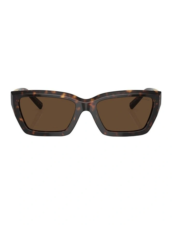 TF4213 Sunglasses in Tortoise