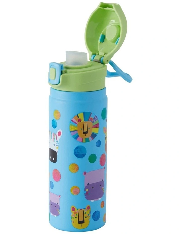 Double Wall Insulated Bottle 550ml in Mixed Colors