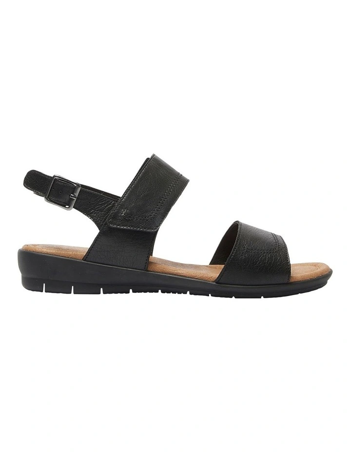 Darwin Sandals in Black Leather