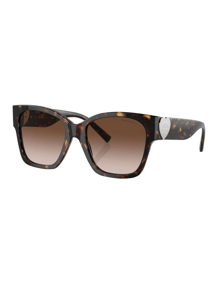 TF4216 Sunglasses in Tortoise
