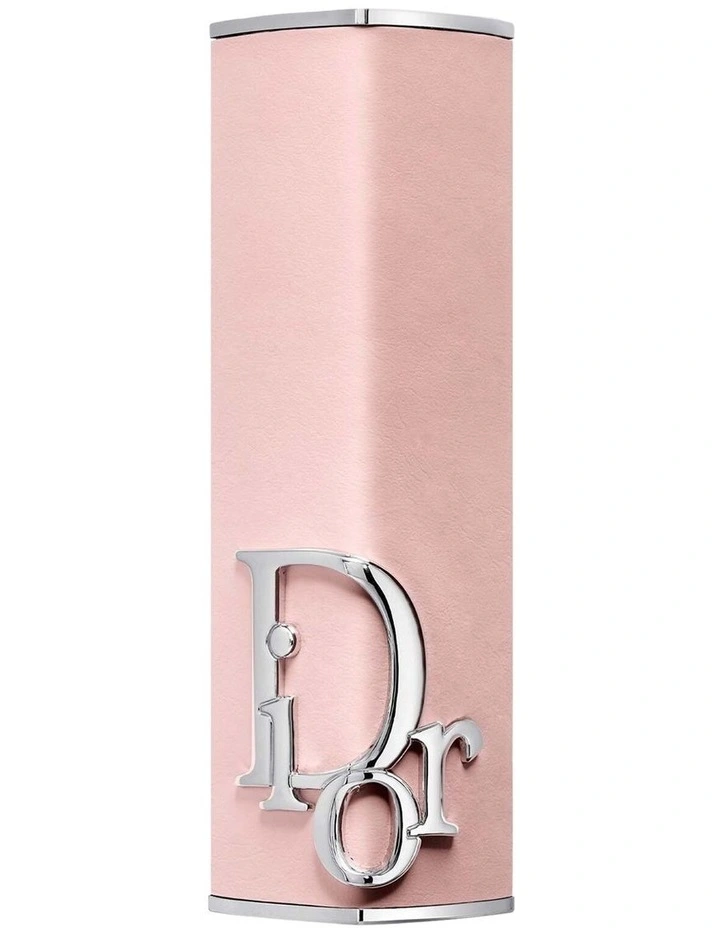 Dior Addict Lipstick Fashion Case