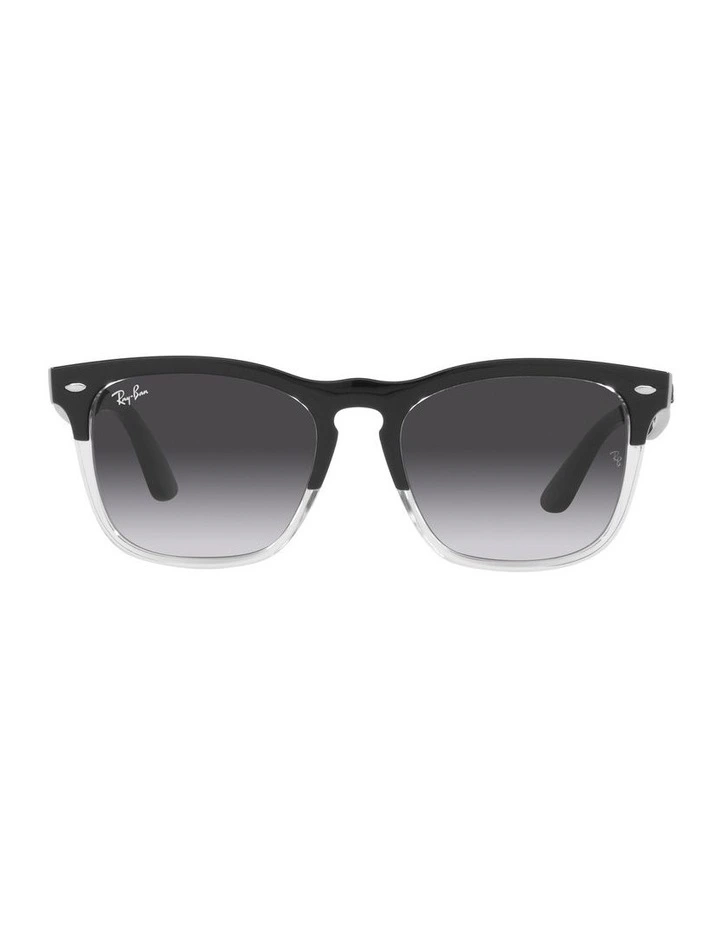 STEVE Sunglasses In Black