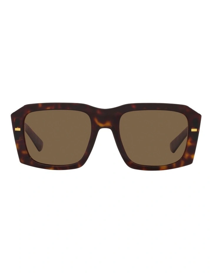 DG4430 Tortoise Sunglasses in Brown