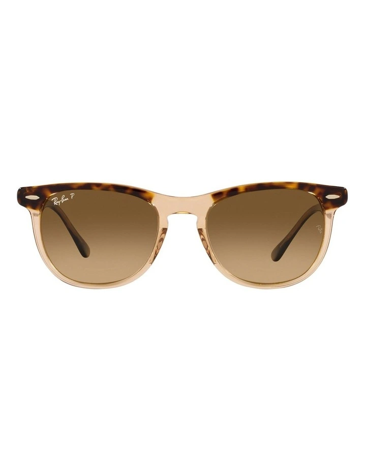 Eagle Eye Polarised Sunglasses in Gold