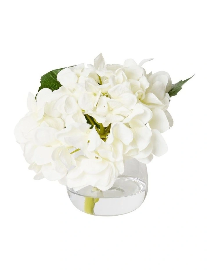 Hydrangea Alma Vase 20cm in White