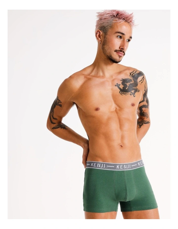 3 Pack Plain Trunks in Multi