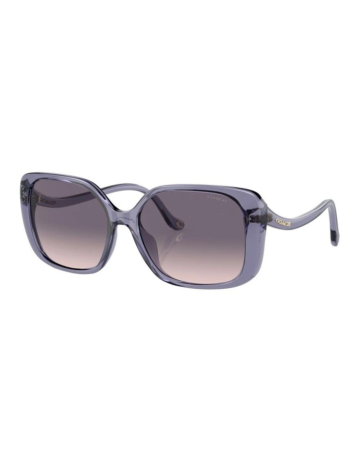 CL929 Sunglasses in Violet