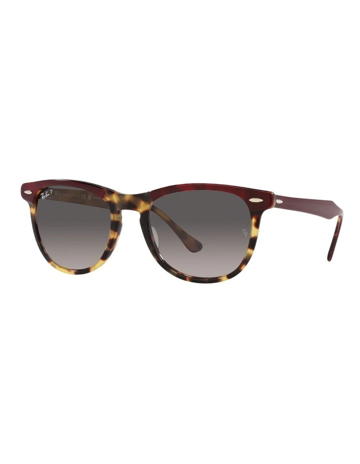 Eagle Eye Polarised Sunglasses in Red