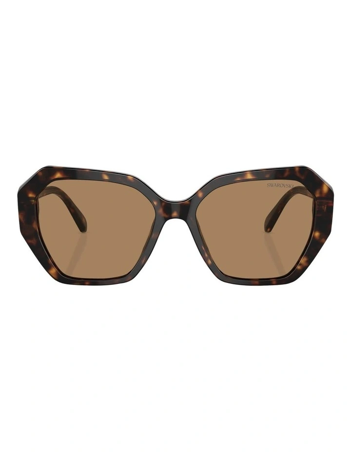 SK6017 Sunglasses in Brown