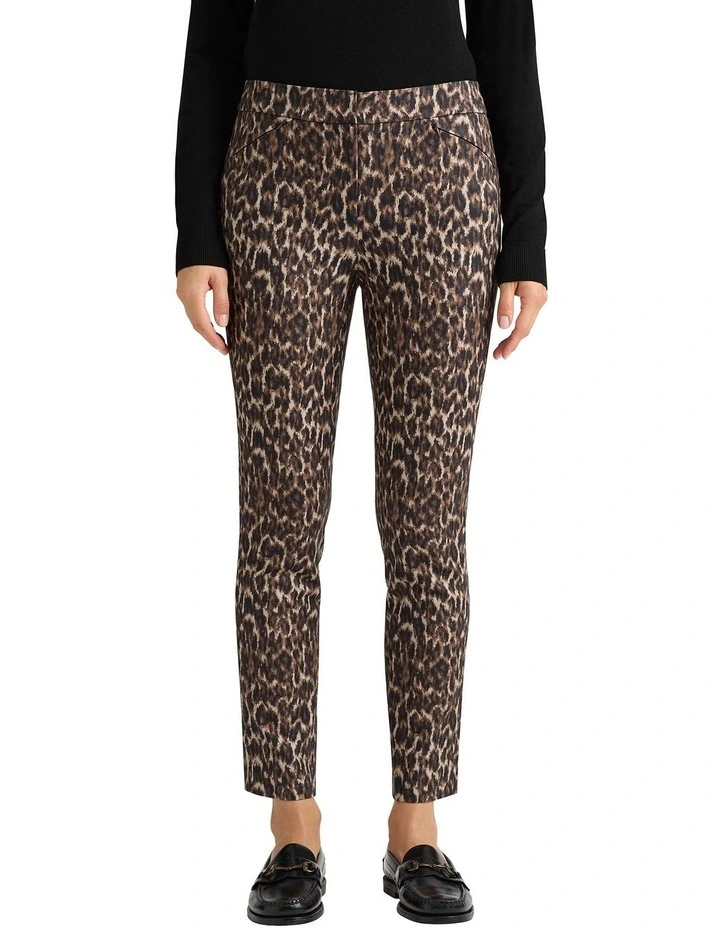 Tillee Compact Cotton Pant in Brown Multi