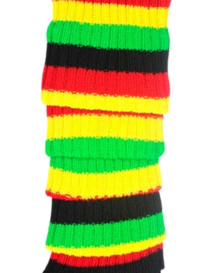 Rainbow Leg Warmers in Multi