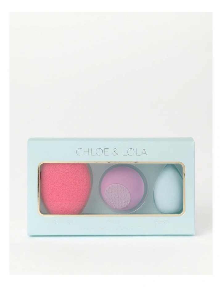 Sponge Multi Pack Set in Assorted