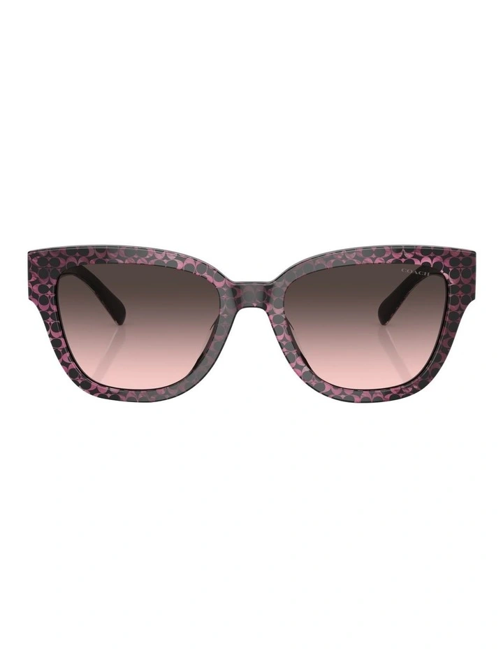 CL920 Sunglasses in Red