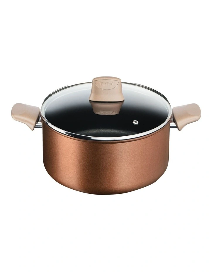 Induction Non-Stick Stewpot/Lid 24cm in Bronze
