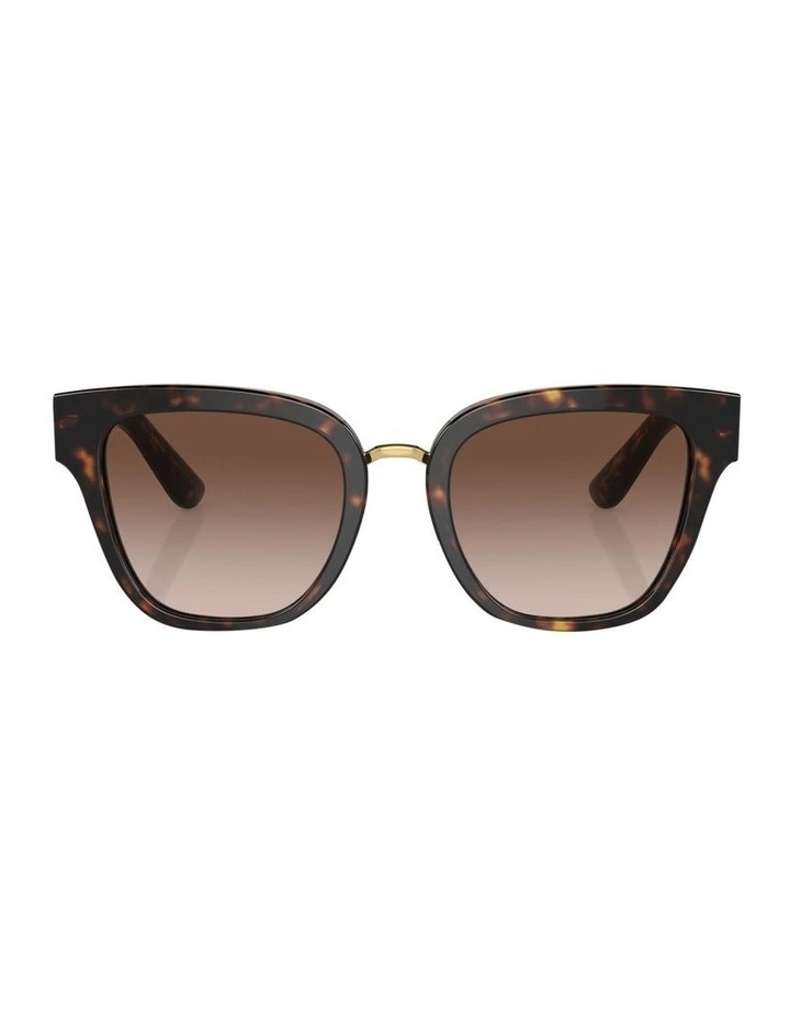 DG4437 Sunglasses in Tortoise