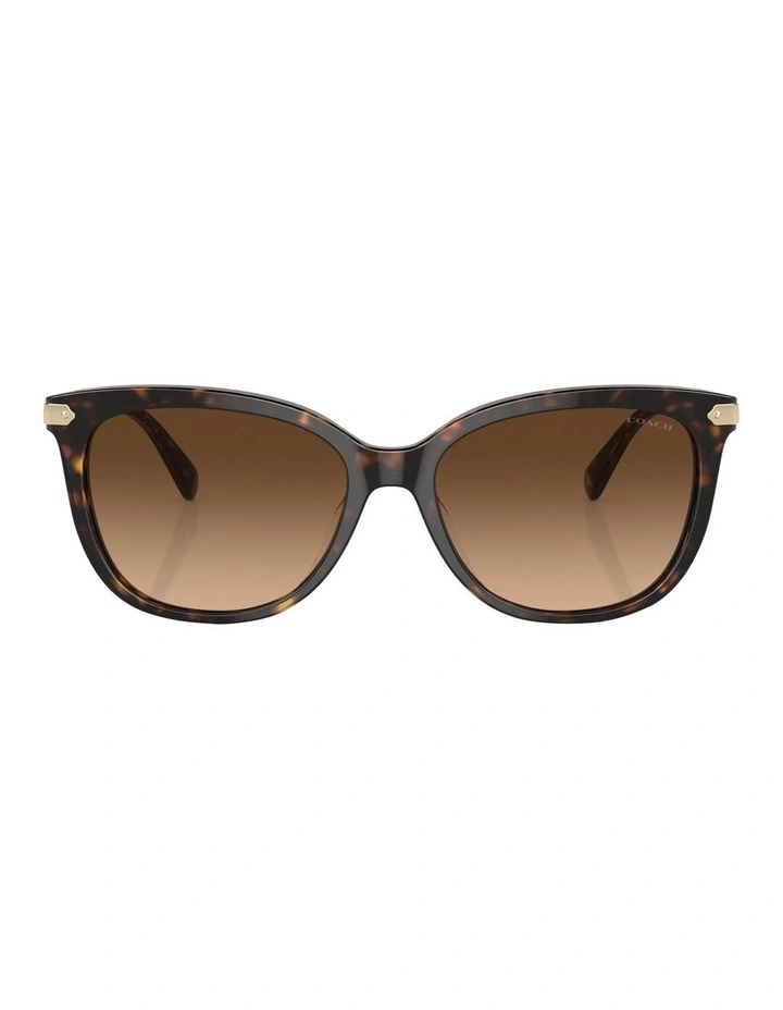 CL926 Sunglasses in Tortoise