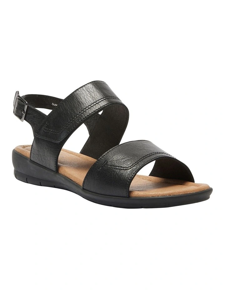 Darwin Sandals in Black Leather