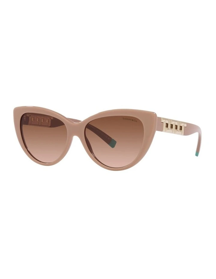 0TF4196 Sunglasses in Solid Nude