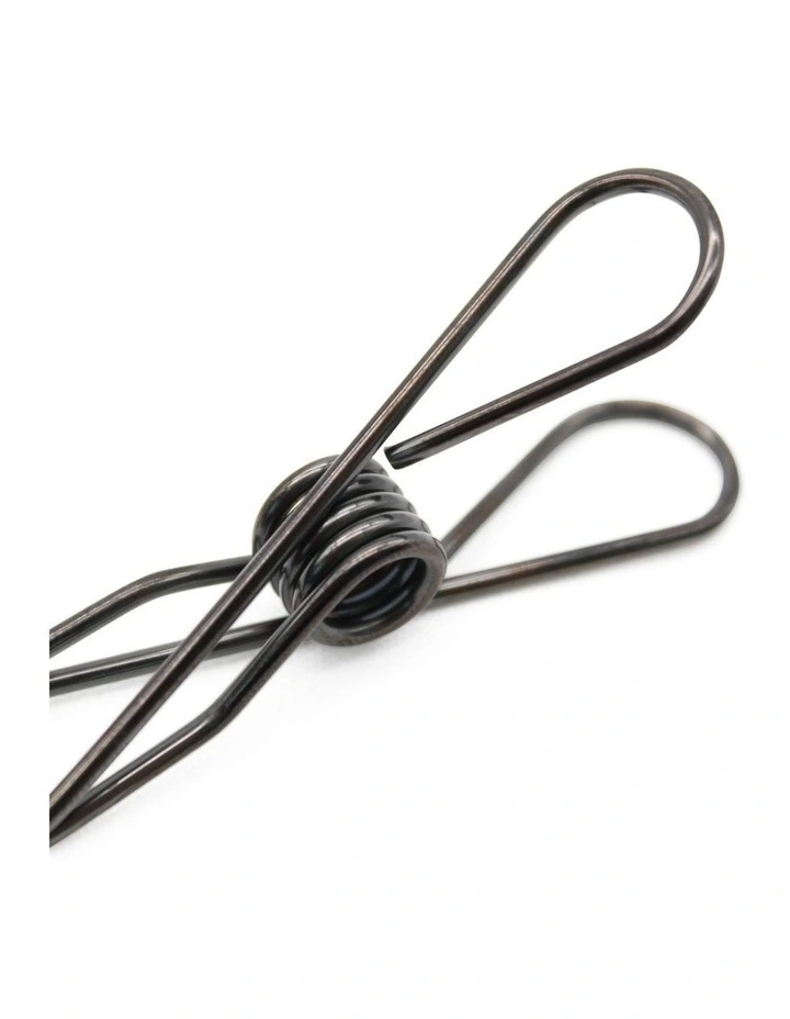 Small Stainless Steel Pegs 40 Pack in Black