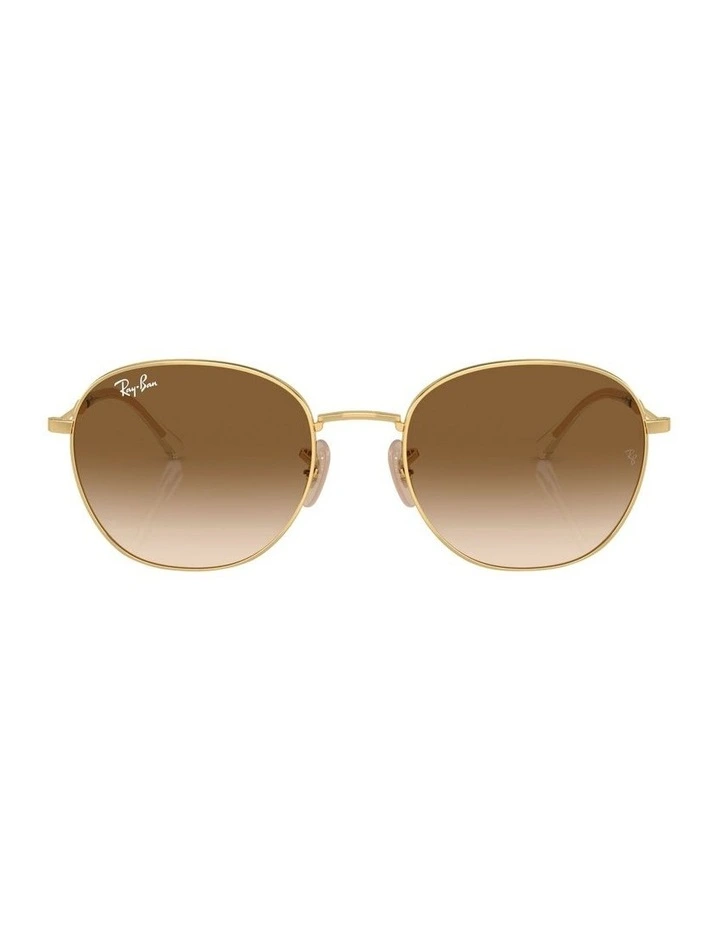 RB3809 Sunglasses in Gold