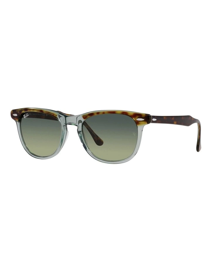 Eagle Eye Sunglasses in Brown
