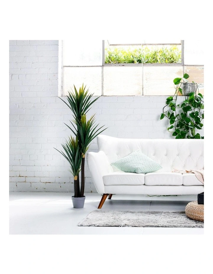 Yucca Artificial Plant 150cm