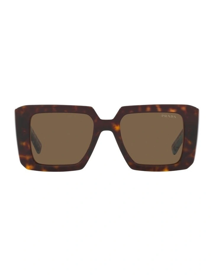 PR 23YSF Sunglasses in Tortoise