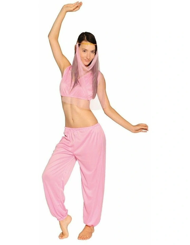 Arabian Princess Belly Dancer Genie Fancy Party Dress in Pink