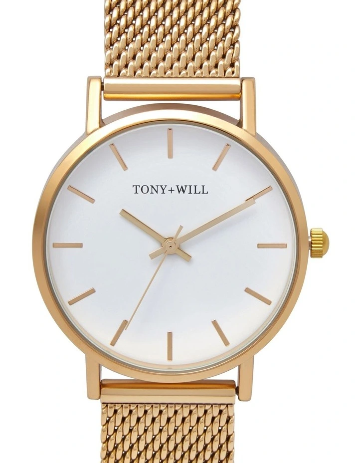 Small Class Mesh Watch in Gold