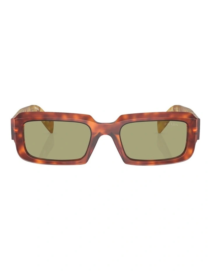 PR 27ZS Sunglasses in Brown