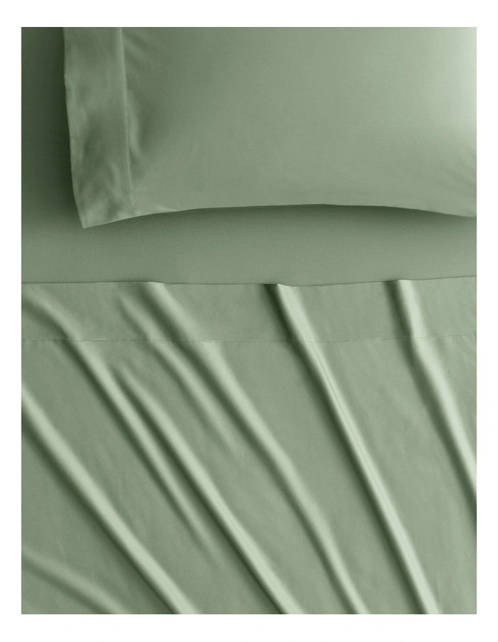 500TC Egyptian Cotton Sheet Set in Cactus