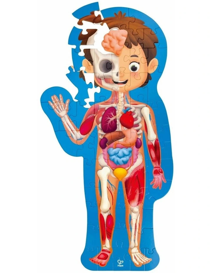 Human Body Puzzle