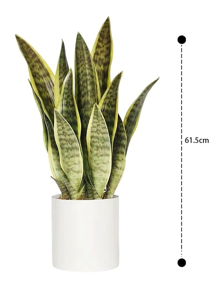 Exclusive Design Artificial Snake Plant