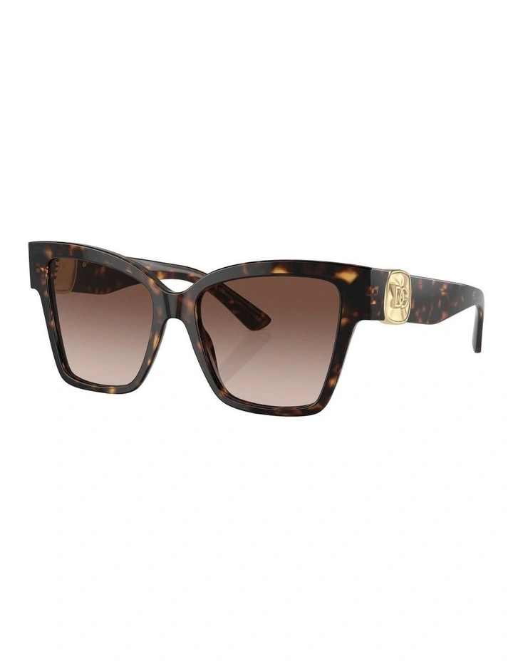 Sunglasses DG4470 in Tortoise