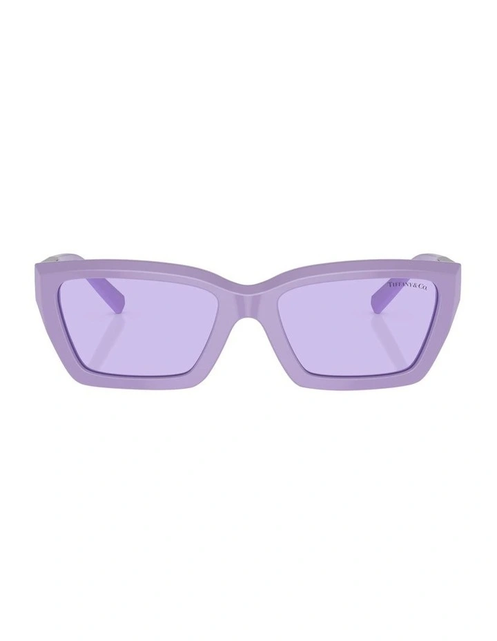 TF4213 Sunglasses in Violet